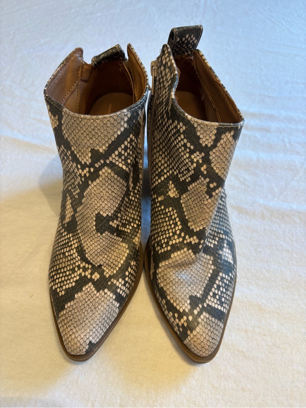 Universal Thread Snake-Print Ankle Booties in Black & Cream